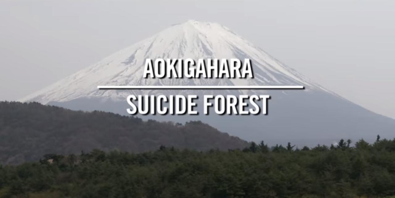 Aokigahara: Suicide Forest film sub ita