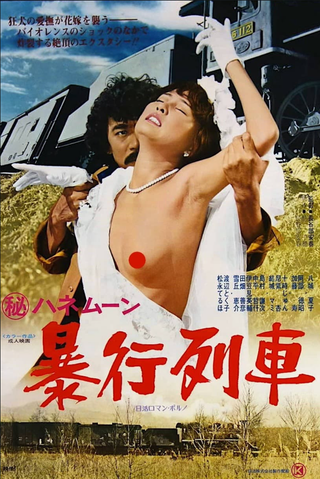 Secret Honeymoon: Rape Train download film sub ita